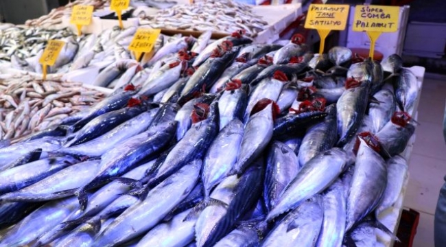 600 gramlık palamut 10 TL'den satılıyor
