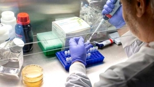 AstraZeneca'nın aşı çalışmaları 2. kez sekteye uğradı! Bir gönüllüde daha yan etki görüldü