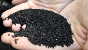 Koronavirüsle birlikte ciğerlere iyi gelen çörek otunun fiyatı 3'e katlandı