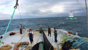 Yasa dışı balık av cezaları 50 bin TL'ye kadar yükseltildi