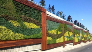 Balıkesir Büyükşehir Belediyesi, İBB'nin söktüğü dikey bahçelere talip oldu