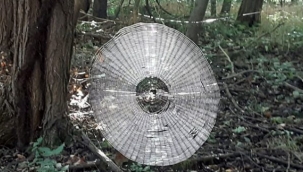 Ormanın derinliklerinde bulunan devasa örümcek ağı tüyler ürpertti: İnsan yakalayabilir