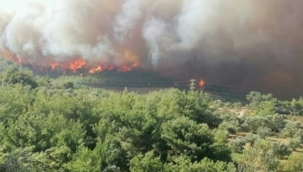 Son Dakika... Hatay ın Belen İlçesinde Büyük Yangın 