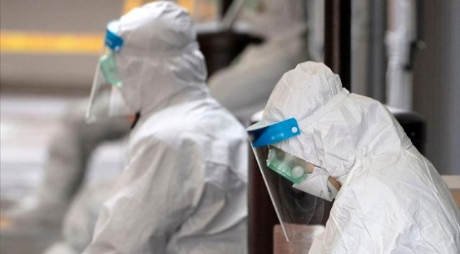 Yeni salgın patlak verdi! İsrail'de 50 kişi fareden bulaşan hastalığa yakalandı