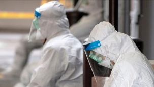 Yeni salgın patlak verdi! İsrail'de 50 kişi fareden bulaşan hastalığa yakalandı