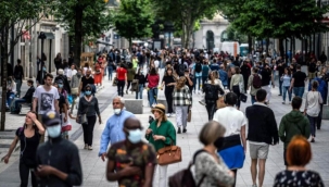 Hollanda diken üstünde! Henüz koronavirüs salgını bitmeden kuş gribi patlak verdi