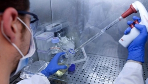 Korona aşısı nasıl taşınacak ve muhafaza edilecek? Dünyanın merak ettiği detaylar belli oldu