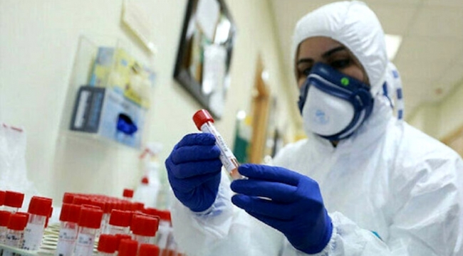 Koronavirüs araştırmasında korkunç detay! Daha bulaşıcı hale gelmiş olabilir