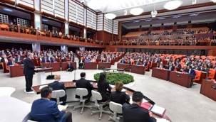 Lütfi Elvan'ın Hazine ve Maliye Bakanlığı'na atanmasının ardından Meclis'te AK Parti'nin sandalye sayısı düştü