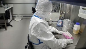 DSÖ, koronavirüsün tespit edilen yeni türünün 'daha hızlı yayıldığı' iddialarını yalanladı