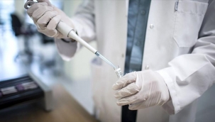 Dünya Sağlık Örgütü: Sürü bağışıklığını sağlamak için toplumun yüzde 65-70'inin aşı olması gerekiyor