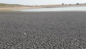 Edirne'de son 91 yılın en kurak dönemi yaşanıyor! Kayalıköy Barajı'ndaki su seviyesi yüzde 3'e indi