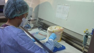 İngiltere'de koronavirüsün daha hızlı bulaşan yeni bir türü keşfedildi