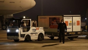 Sinovac'ın koronavirüs aşısı Türkiye'de