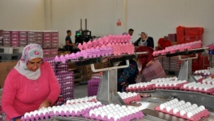 Tavuk fiyatlarını bile solladı! İşte yetkililere göre yumurtaya gelen zammın nedeni