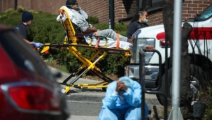 ABD'de endişe veren yeni bir koronavirüs mutasyonu tespit edildi