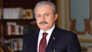 TBMM Başkanı Şentop'tan yeni yıl mesajı: 2020'nin zorluklarının 2021'de geçeceğini ümit ediyorum