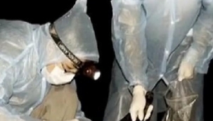 Vuhan'daki bilim insanlarından olay itiraf: Koronavirüs mağaradaki yarasanın saldırısından sonra yayıldı