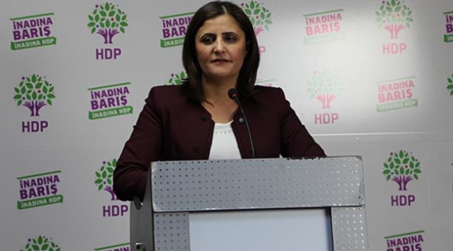 Bakan Soylu'nun Gara açıklaması sonrası gözlerin çevrildiği Dirayet Dilan Taşdemir konuştu