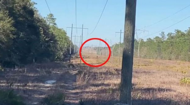 400 yıldır insanların dilinde! Tarlada yürüyen gizemli varlık tartışmalara yol açtı