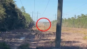 400 yıldır insanların dilinde! Tarlada yürüyen gizemli varlık tartışmalara yol açtı