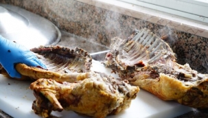 Kuyu kebabına rağbet! Padişah yiyeceğinin kilosu 200 TL