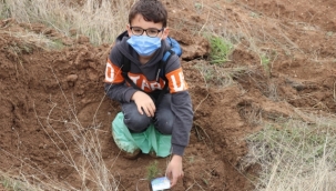 AGD ORTAOKULLAR KOMİSYONU FİDAN DİKİMİ ETKİNLİĞİNİ TÜM YURTTA BAŞLATTI