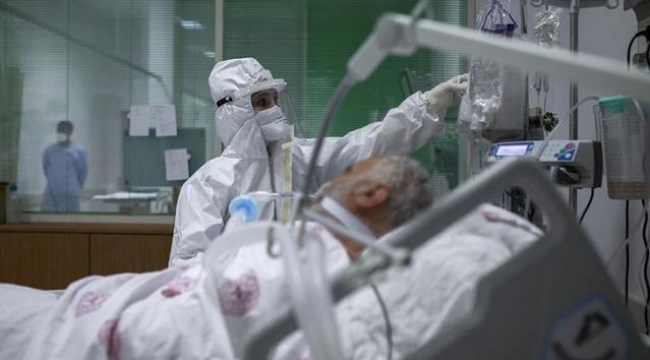 Türkiye'de 18 Mayıs günü koronavirüs nedeniyle 203 kişi vefat etti, 11 bin 937 yeni vaka tespit edildi