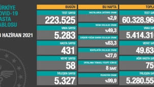 28 Haziran Türkiye'de koronavirüs tablosu