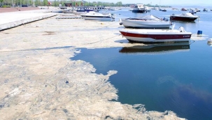 Bakan Kurum, Marmara Denizi'ni kaplayan deniz salyasının oluşmasının 3 nedenini sıraladı