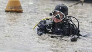 Deniz salyasından yaralara merhem olacak .