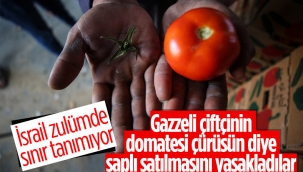 İsrail'den Gazzeli çiftçi ve tüccarlara 'sapsız domates' baskısı
