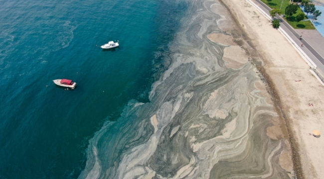 İstanbul'daki deniz salyası havadan görüntülendi