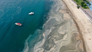 İstanbul'daki deniz salyası havadan görüntülendi