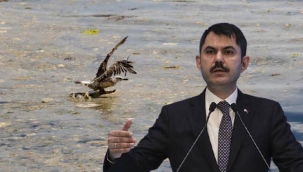  Manşet Koronavirüs Ekonomi Spor Magazin Dünya Yerel Haberler İndirim Kuponları Döviz Kuru Namaz Vakitleri Bakan Kurum'dan firmalara yeni eylem planı uyarısı: Uymayanları kapatacağız