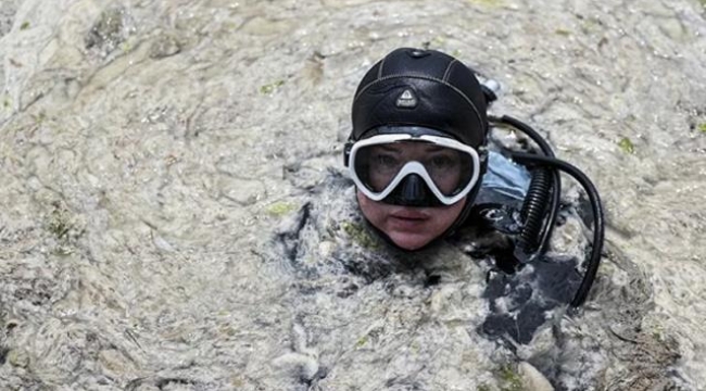  Manşet Koronavirüs Ekonomi Spor Magazin Dünya Yerel Haberler İndirim Kuponları Döviz Kuru Namaz Vakitleri Marmara'da 2 günde toplam 392 m³ müsilaj toplandı! En çok İstanbul'dan çıktı