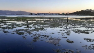 Marmara'nın altı üstünden korkunç! Müsilajın deniz altındaki tahribatı görüntülendi