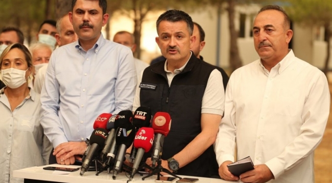 21 ilde çıkan 79 yangının 66'sı kontrol altına alındı