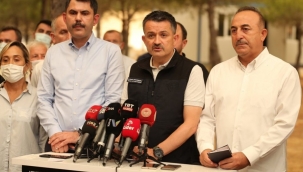 21 ilde çıkan 79 yangının 66'sı kontrol altına alındı