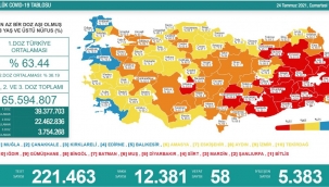 24 Temmuz Türkiye'de koronavirüs tablosu