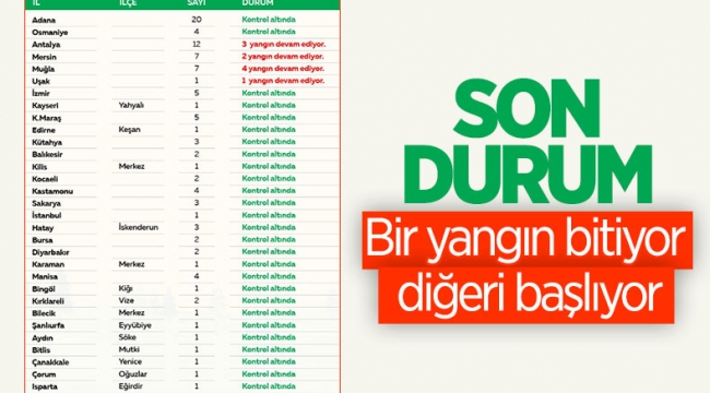 31 ilde çıkan 101 yangının 91'i kontrol altına alındı