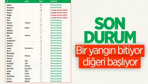 31 ilde çıkan 101 yangının 91'i kontrol altına alındı