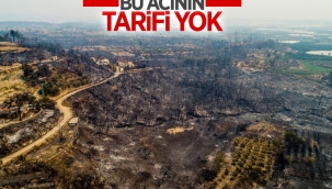 Antalya ve Adana'dan alevlerin ardından yürek yakan manzaralar