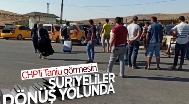 Bayram sonrası Suriyeliler, sınır kapılarından Türkiye'ye dönüyor