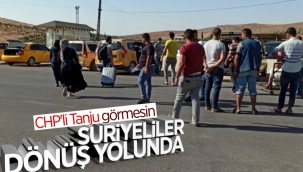 Bayram sonrası Suriyeliler, sınır kapılarından Türkiye'ye dönüyor