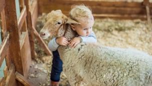 Çocuklarınıza kurbanı 'yardımlaşmak' olarak anlatın