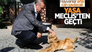 Hayvanları Koruma Kanunu TBMM'de kabul edildi