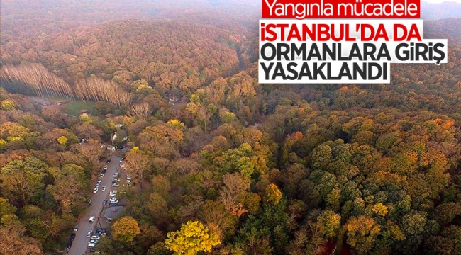 İstanbul genelinde ormanlara giriş yasaklandı