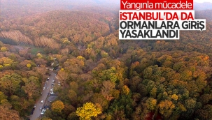 İstanbul genelinde ormanlara giriş yasaklandı