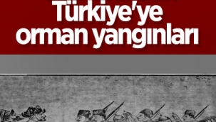 Vakanüvis yazdı: Osmanlı da orman yangınlarıyla boğuşurdu